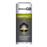 Shampoo 1 Sistema Gb Anticaída Y Anticaspa Hombre 230 Ml 