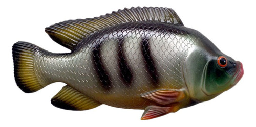 Peixe Tilápia Decorativo De Parede Em Poliresina 19cm