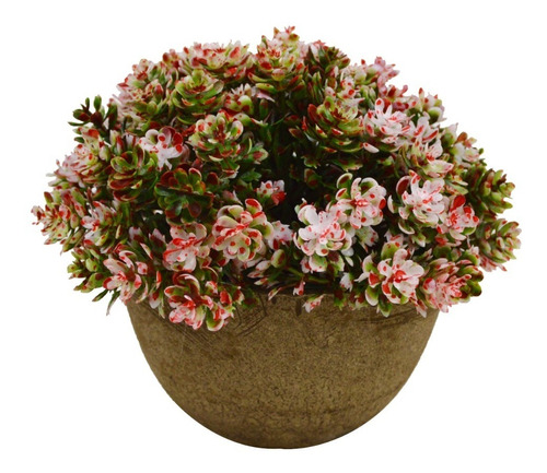 Planta Musgo Artificial Macetero Corcho Decoración 11.5cm 