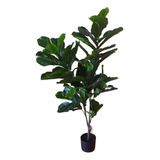 Planta Artificial Ficus Lyrata 1,25cm