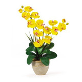 Arreglo De Orquídeas De Seda Phalaenopsis De Doble Tallo