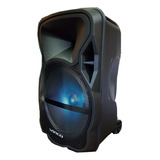 Parlante 12 Portatil Gran Potencia 5000w Karaoke Bluetooth