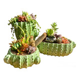 Set 3 Maceteros Cemento Concreto Diseño Cactus