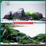 Rochas Negras Naturais 7kgs Decoração Aquário Lago