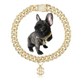 Collar Glitter King Gold Para Perro, Gato Y Cachorro, Cadena