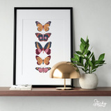 Lamina Imprimible Mariposas Poster Living Deco