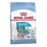 Royal Canin Mini Starter X 3 Kg