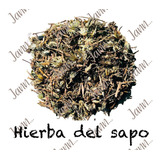 Hierba Del Sapo Planta Medicinal 500g.