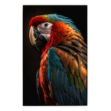 Cuadro De Colección Aves Hermosas Guacamaya Bandera # 8 Ch
