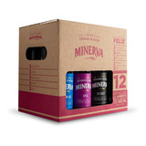 Cerveza Minerva | Cerveza Minerva Mix 12 Pack | 12 Cervezas Artesanales De 355 Ml Cada Una | Variedad De Sabores | La Cajota Feliz