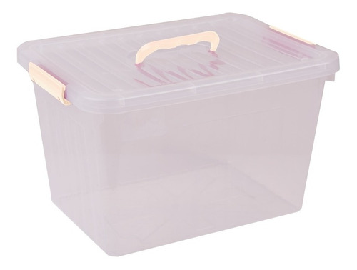 Caja Organizadora Plastico 31x23x19 Mediana Entrega 24 Hs!