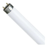 Lampada Fluorescente T8 32w 4000k G13 Branco Neutro Sylvania