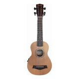 Ukelele Soprano Con Eq Rosewood Ashland Uk212s-eq Tapa Maciz