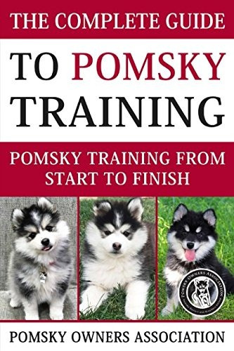 The Complete Guide To Pomsky Training Pomsky Training From S