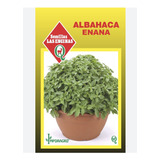 Semillas Certificadas Hortaliza Albahaca Enana Huerto