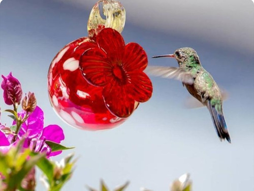 Bebedero Para Colibrí Rojo Moteado . Vidrio Soplado 