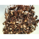 Sustrato Para Suculentas (15 Litros) Perlita-fibra Coco-peat