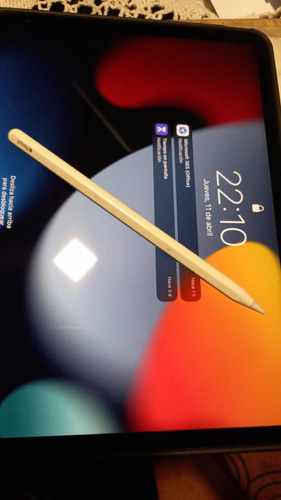 iPad Pro 11 128g Con Apple Pencil Más Carcasa