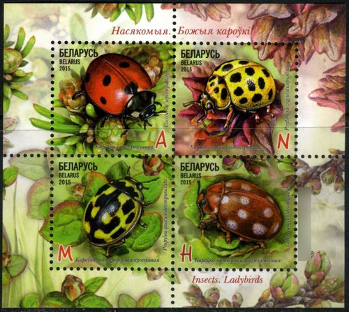 2015 Insectos- Mariquita- Bielorrusia- Mnh 