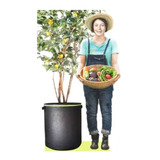 Maceta Tela Geotextil 80 Litros 4 Piezas Cultivo Arbol 