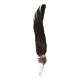 Pluma De Gallo Rigida (de 20cm A 30cm) Negra Natural