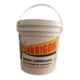 Pasta Lubricante Lubrigom 4 Kg Para Gomeria Cubierta