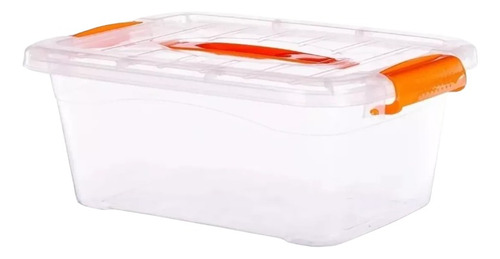 Caja Organizadora Transparente 20x15x10 Cm Tc