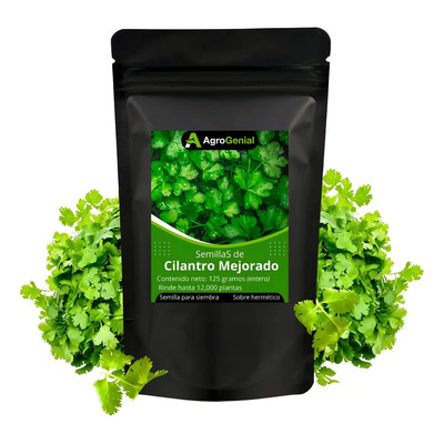 12000 Semillas Cilantro Certificado Para Sembrar | MercadoLibre