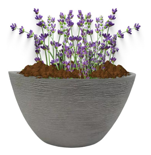 Vasinho Para Plantas E Flores-jardim Vertical 1-vaso (16x10)