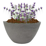 Vasinho Para Plantas E Flores-jardim Vertical 1-vaso (16x10)