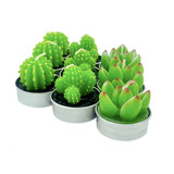 Pack 12 Velas Recuerdo Souvenir Vela Cactus Suculenta 4x5cms