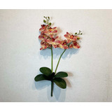 Orquidea 55cm Fucsia/amaril X 2 Con Hoja