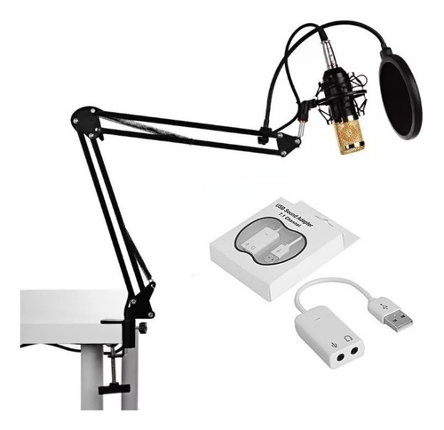 Microfone Condensador Bm800 + Suporte Mesa+ Pop Filter Waver