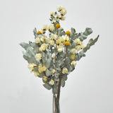 Buquê De Flores Desidratadas Eucalipto E Bouganvillea Branco