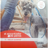 El Encantador De Perros 11 Carlos Rodríguez Aguilar Usado #