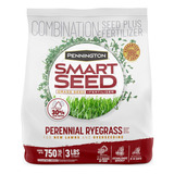 Pennington Smart Seed Perenne Ryegrass 3 Lb