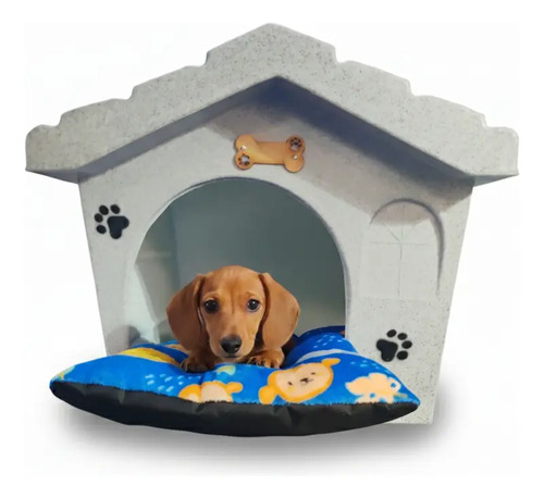 Casa Térmica  Perros Mediana Colchón Gratis | Envío gratis