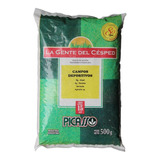 Semillas Cesped Pasto Parques Campos Deportivos 500g Picasso