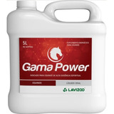 Gama Power 5 L Massa Muscular, Definição E Força  -  Lavizoo