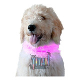 Collar Led Para Perros Ajustable Con Luz 3 Modos 