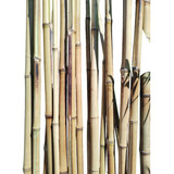 Caña De Bambú, 4 Mts X 1 Unidad. Envios 