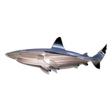 Tiburón De Acero Inoxidable Arte Decoración