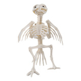 Esqueleto Loro Pajaro Halloween Decoracion Cotillon