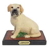 Estátua Cachorro Cão Labrador Bege Na Base Em Resina 