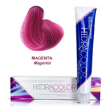 Tinte Fatansia Magenta Hidracolor Fashion Colors 90gr