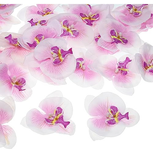 Cabezas Artificiales De Orquídeas (40 Piezas)