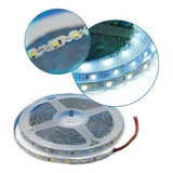 Tira Led S2835 Zigzag Interior 5mt 60led/m 12v Mayorled