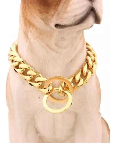 Collar De Cadena Para Perros Pitbull De Acero Inoxidable De