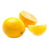 Limon Meyer 1.30m  Arbol Limón Amarillo Injerto De Calidad