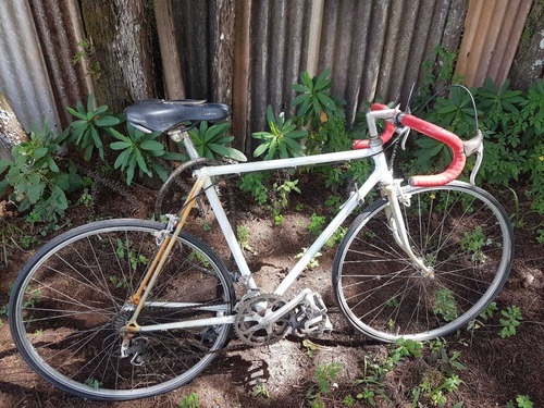 Bicicleta Caloi 12 (chumbinho), Ano 1989